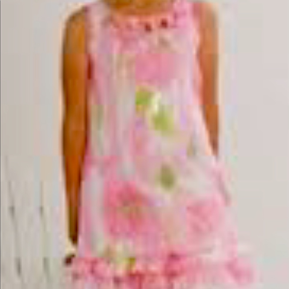 Girl’s Biscotti floral print dress. Like new